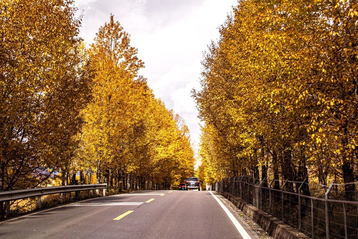 秋行川西高原--新都桥路拍【3】