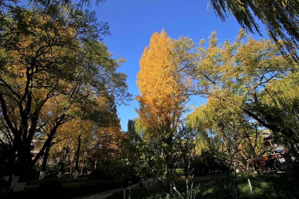泉水清清——多彩五龙潭