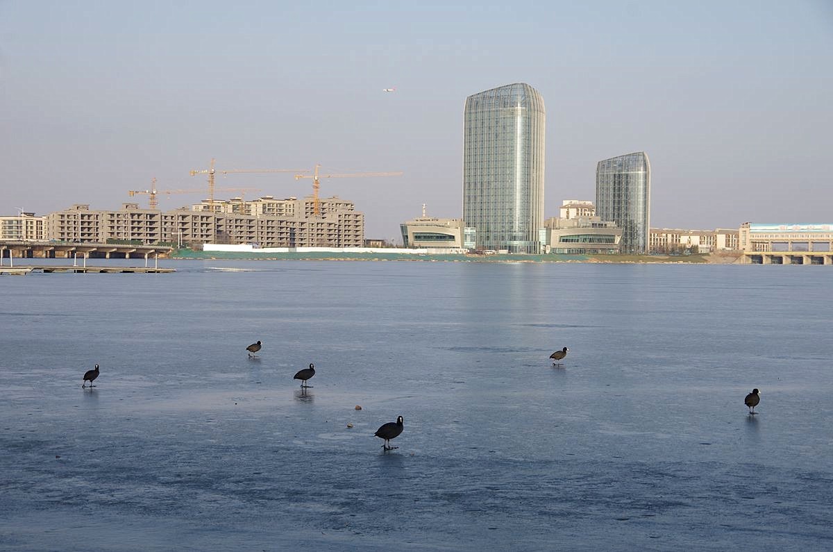 辞旧迎新、扬帆起航-24P