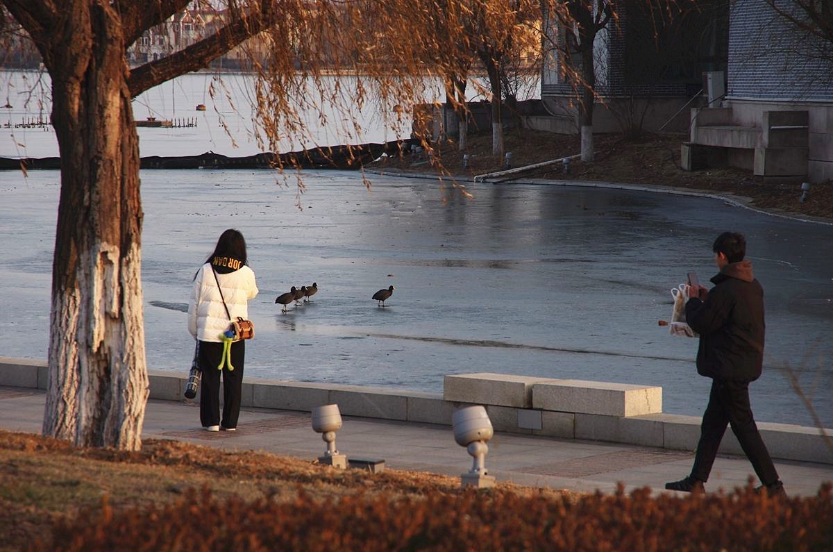 辞旧迎新、扬帆起航-24P