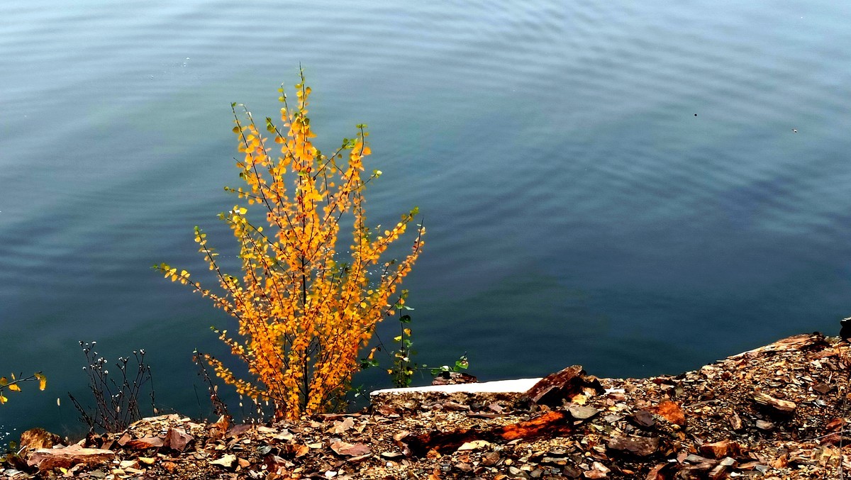 吉林省临江市白马浪风景区