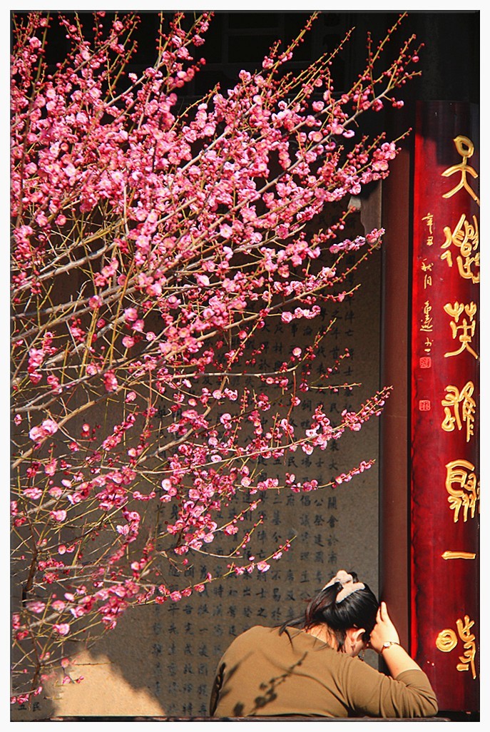 暗香疏影几黄昏