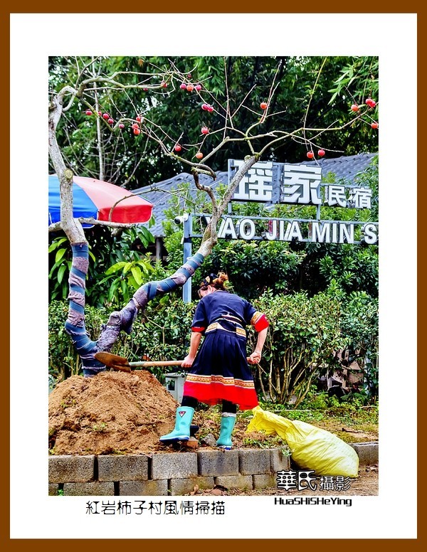 2021南行慢游（广西118）—红岩柿子村风情扫描（桂林市恭城县）