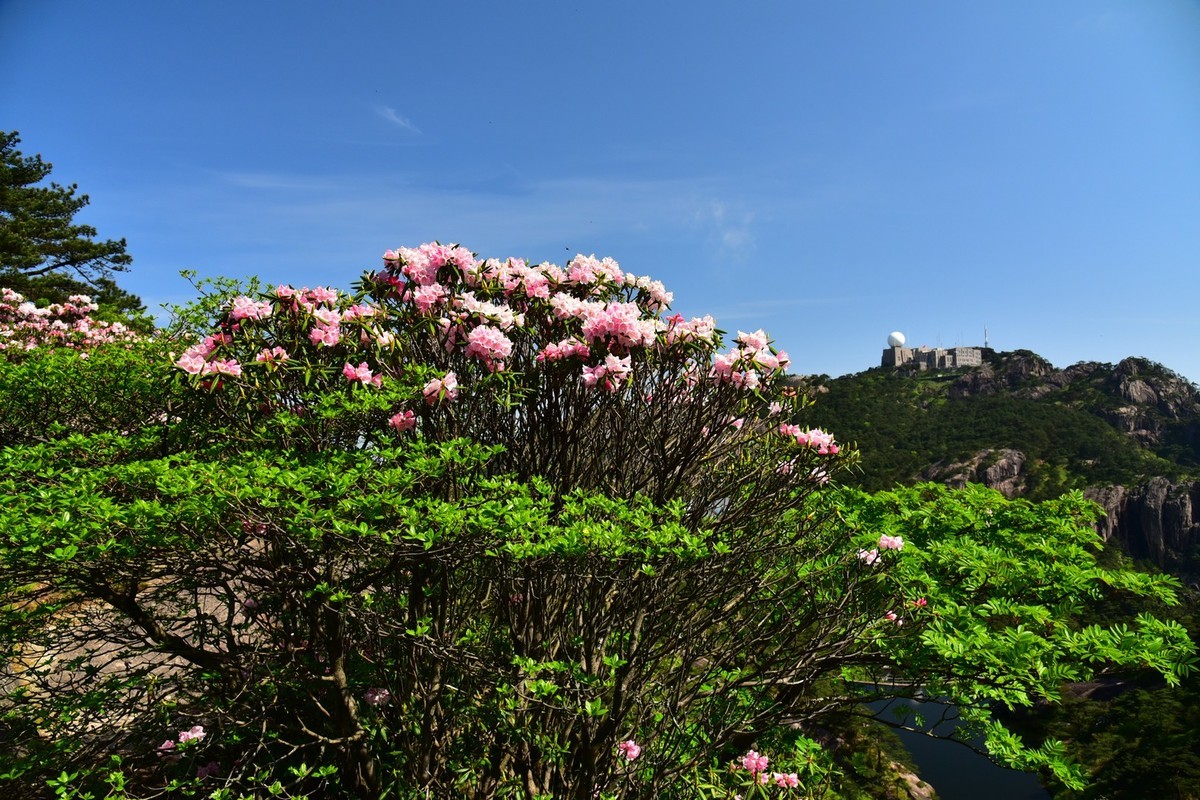 无梦徽州，天下黄山(二）