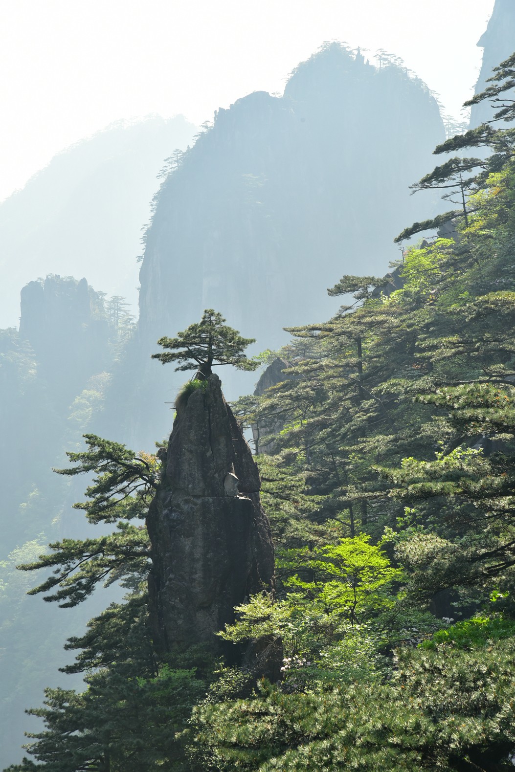 无梦徽州，天下黄山(二）