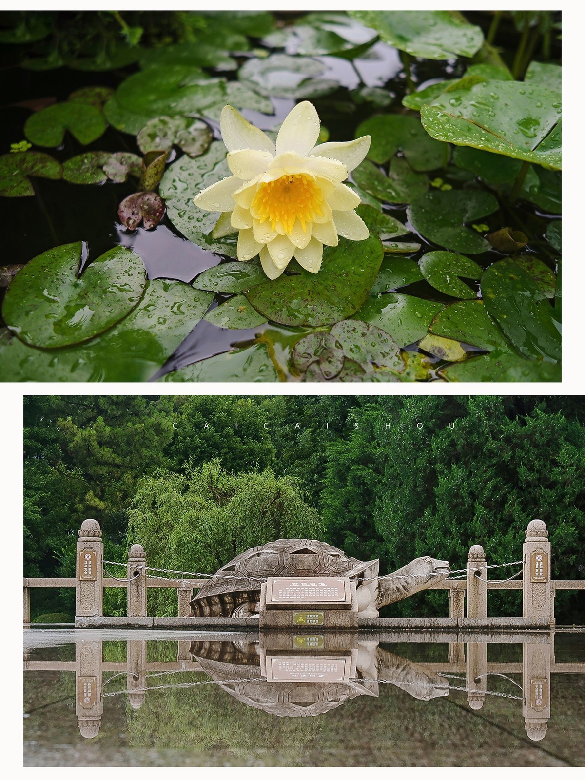 【菜々手摄影】雨中苏州