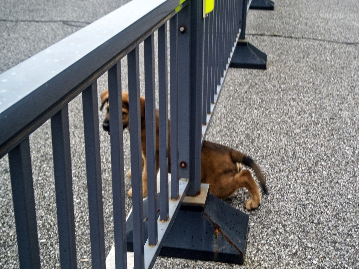 柯达C875防潮热机随拍