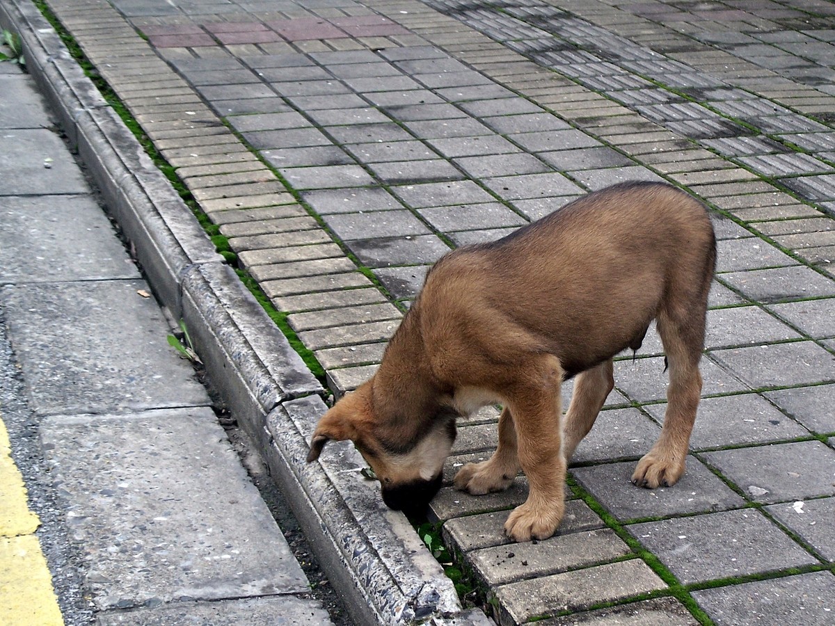 柯达C875防潮热机随拍