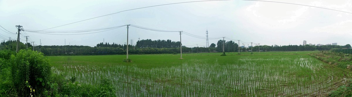 柯达C875防潮热机随拍