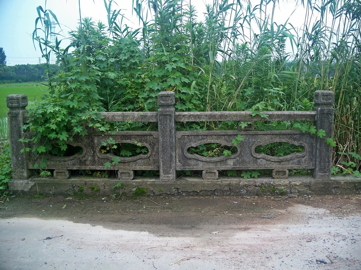 柯达C875防潮热机随拍