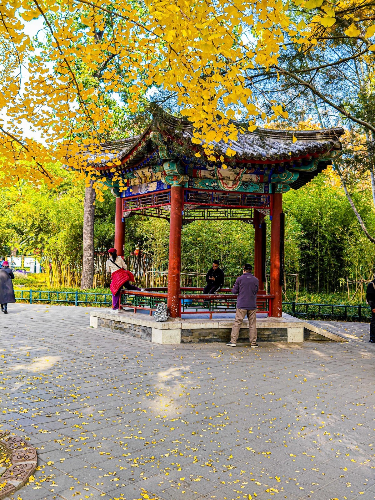 手机游拍20241112 《12》