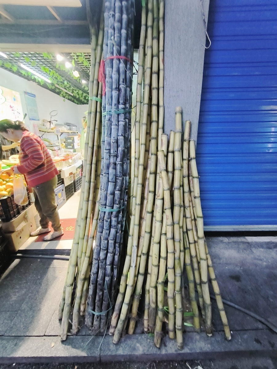 漫步星城 走街串巷（557）风吹到了长沙