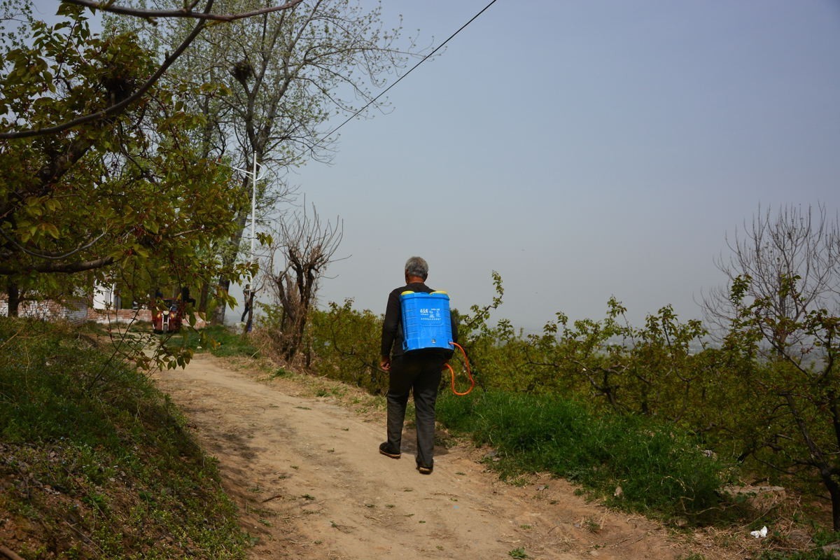 秦岭山麓看到的