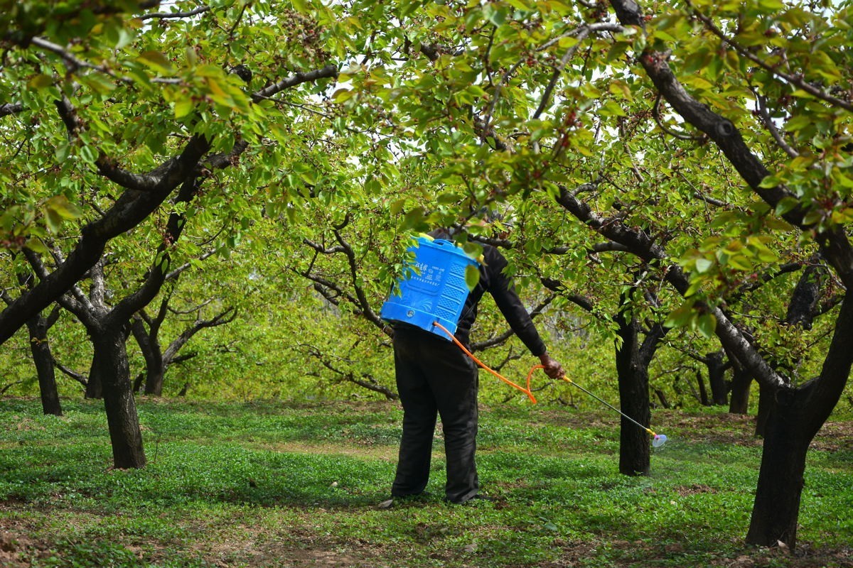 秦岭山麓看到的
