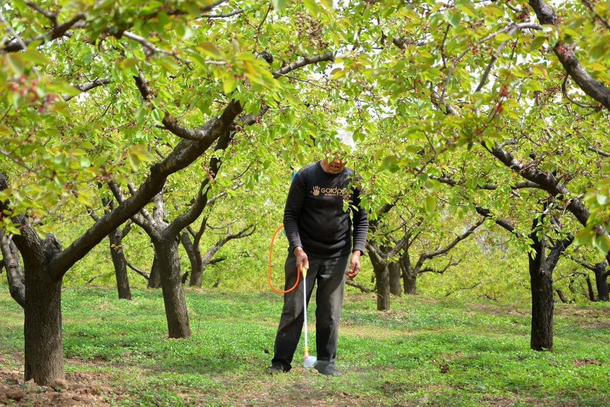 秦岭山麓看到的