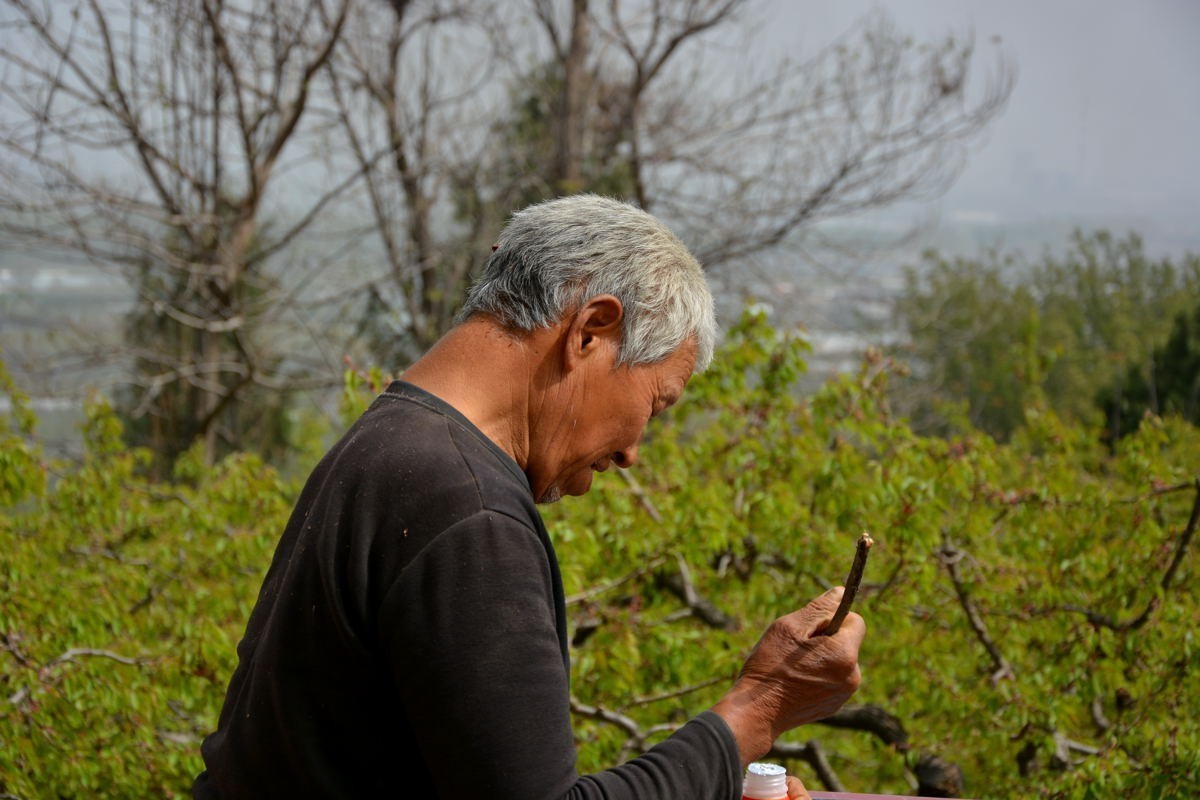 秦岭山麓看到的