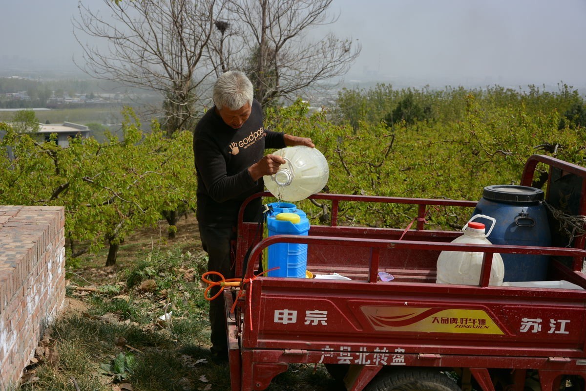 秦岭山麓看到的