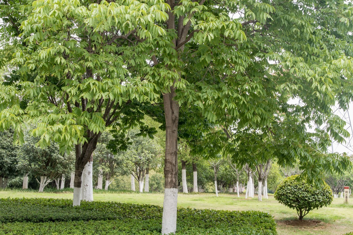 庐州印象（468）工业热土瑶海记忆