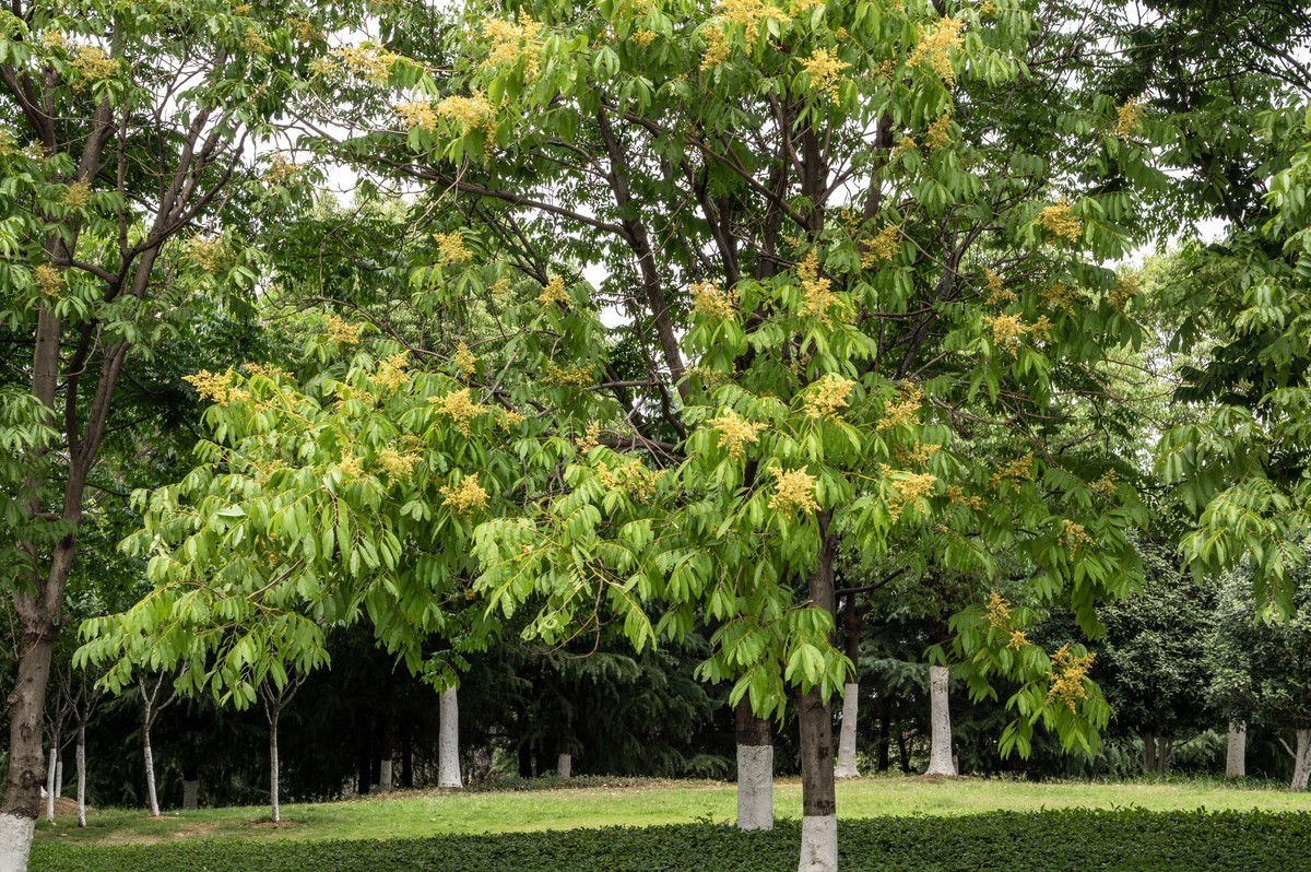 庐州印象（468）工业热土瑶海记忆