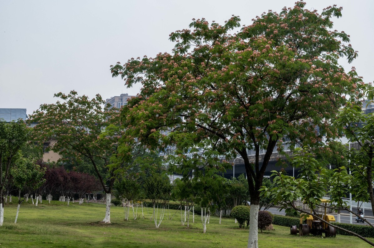 庐州印象（468）工业热土瑶海记忆