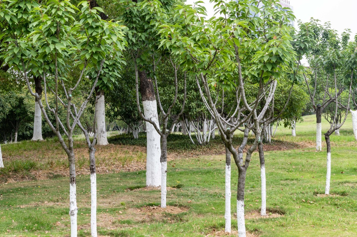 庐州印象（468）工业热土瑶海记忆