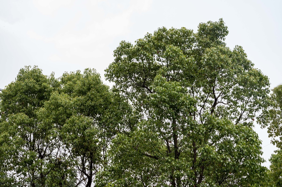 庐州印象（468）工业热土瑶海记忆