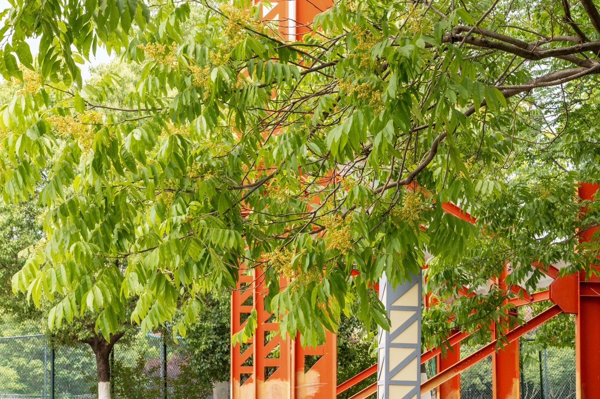 庐州印象（468）工业热土瑶海记忆