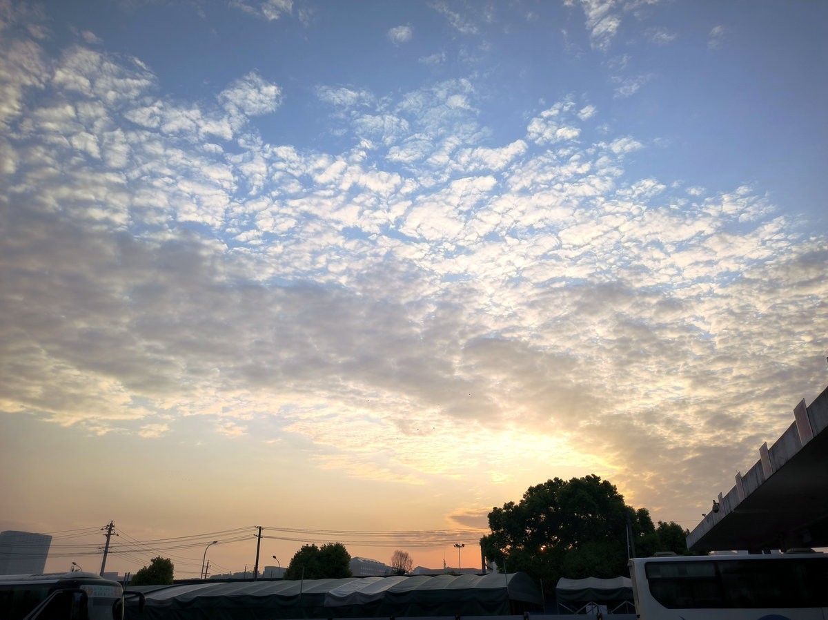 漫步星城 走街串巷（682）元气满满一整天