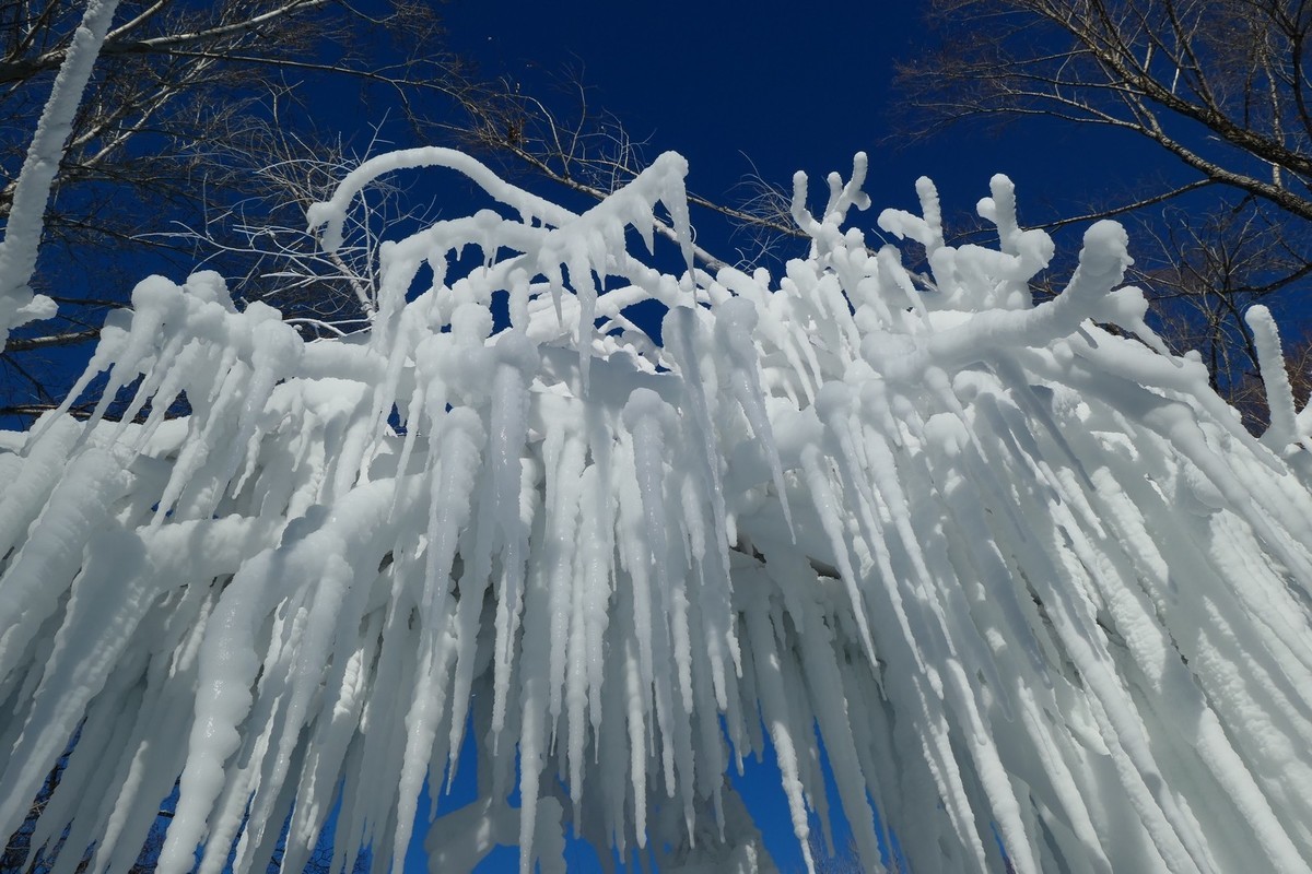 我只是把出去看到的随手记录下来（217）