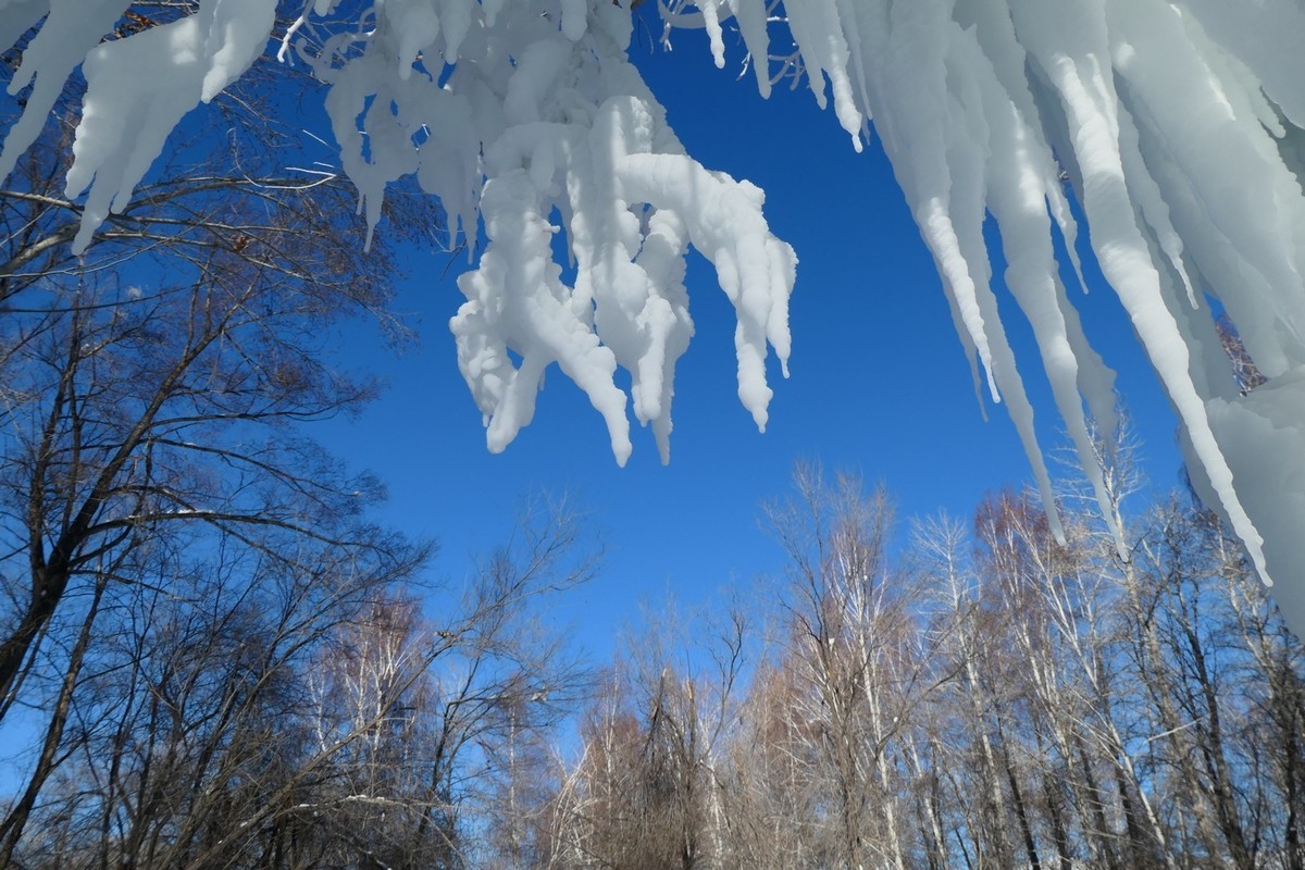 我只是把出去看到的随手记录下来（217）