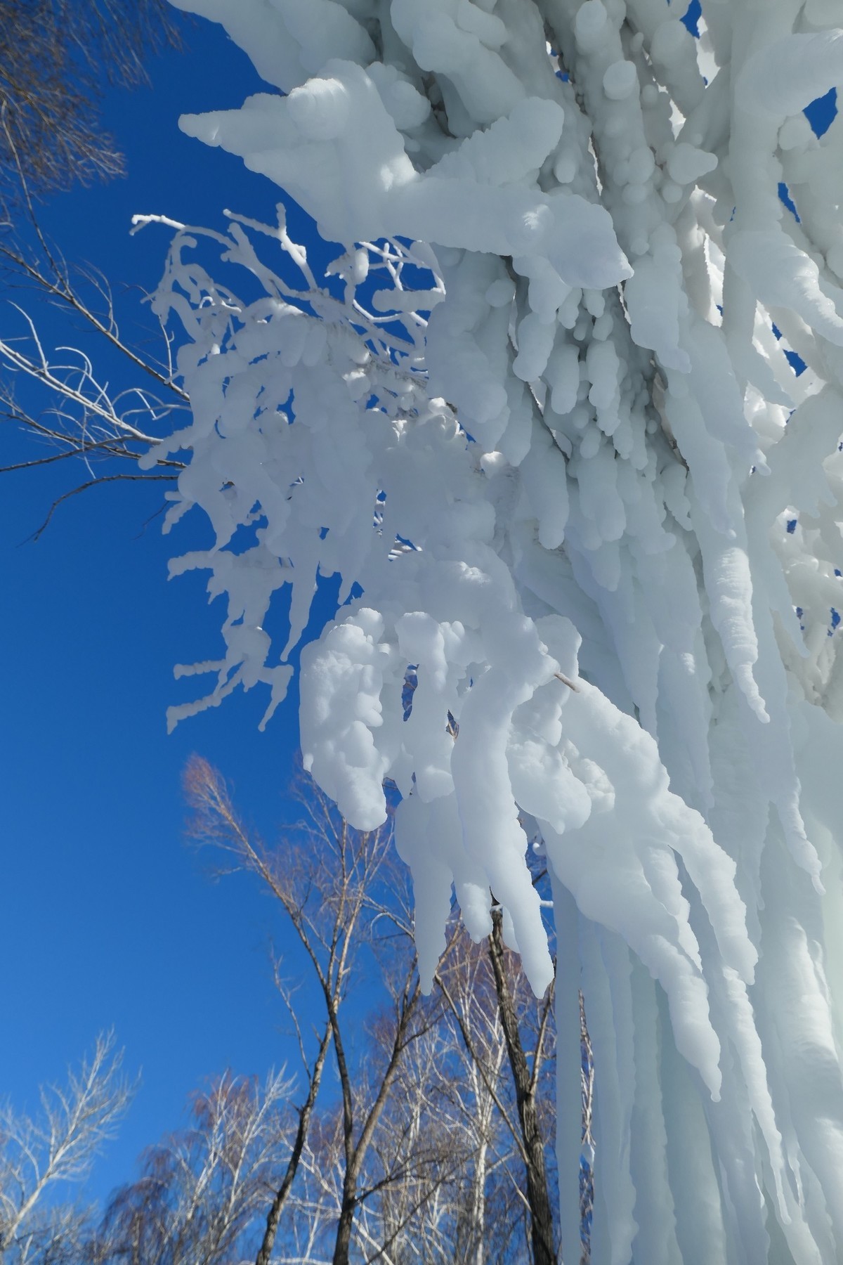 我只是把出去看到的随手记录下来（217）