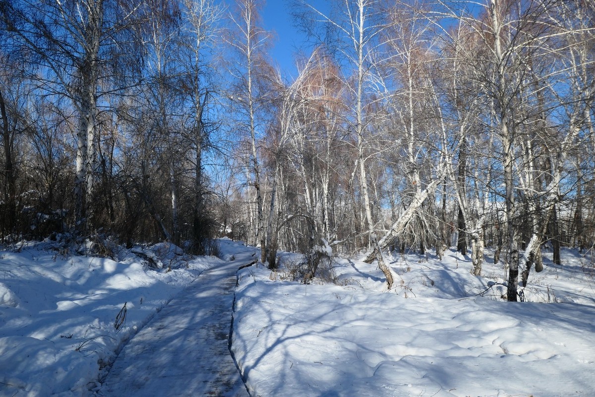 我只是把出去看到的随手记录下来（217）