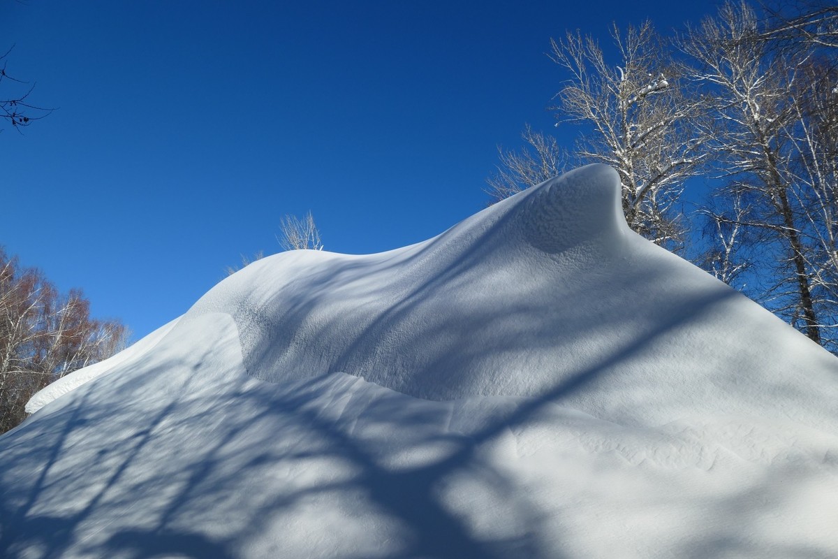 我只是把出去看到的随手记录下来（217）