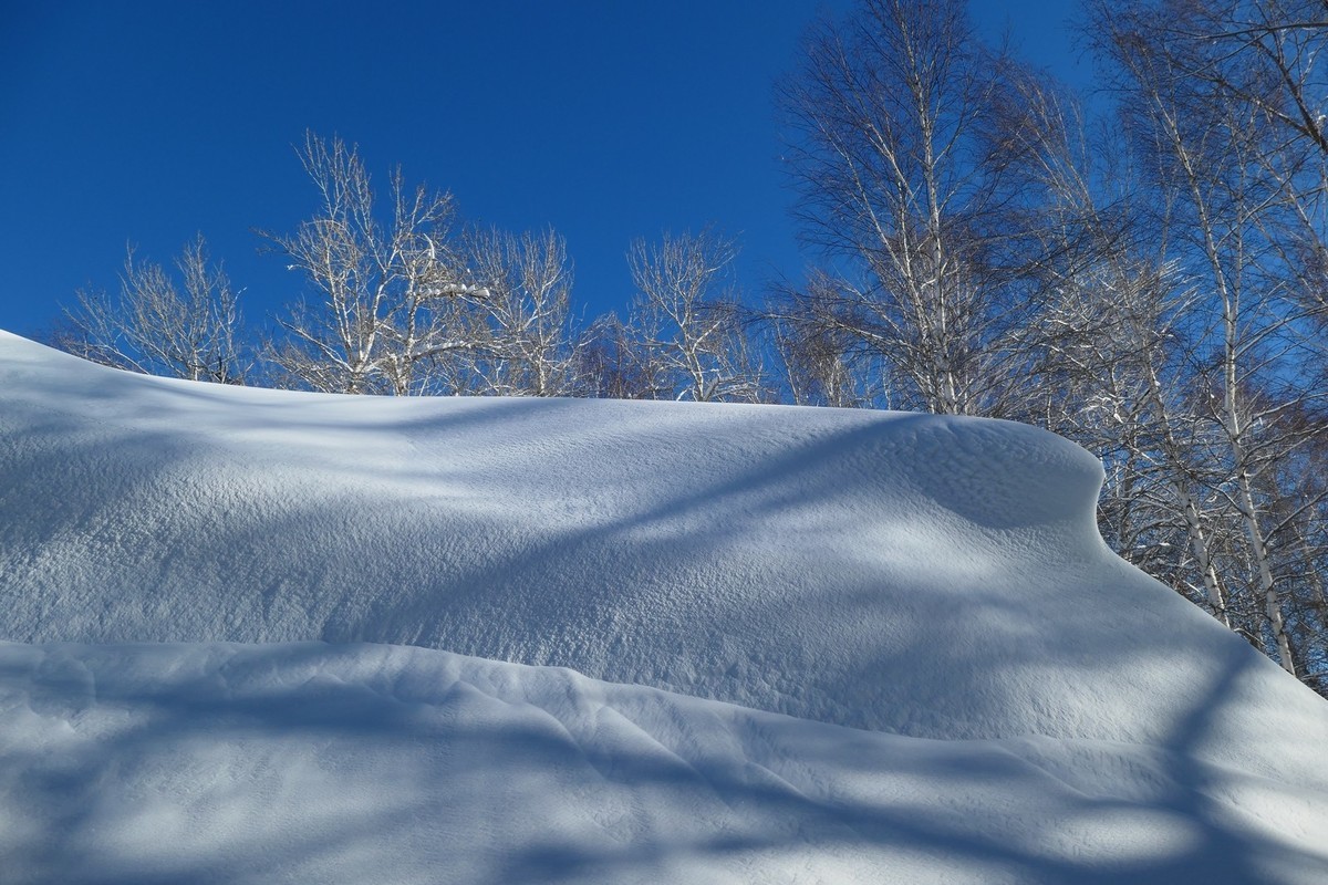 我只是把出去看到的随手记录下来（217）