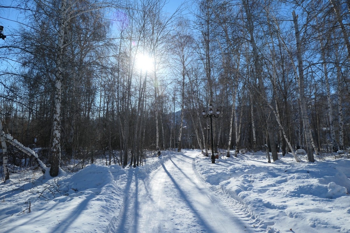我只是把出去看到的随手记录下来（217）