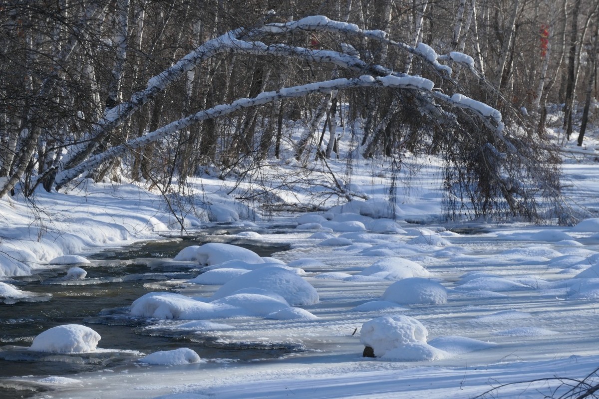 我只是把出去看到的随手记录下来（217）