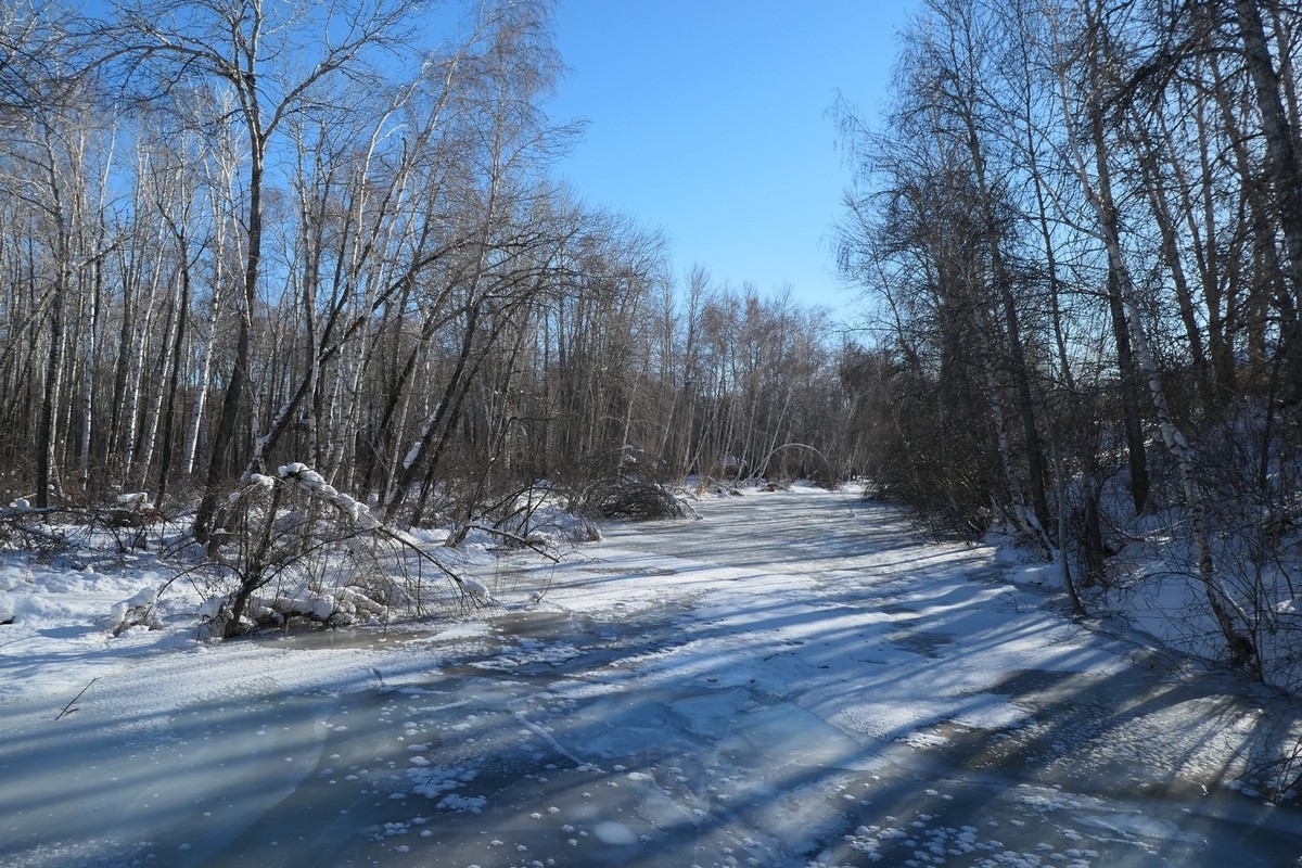 我只是把出去看到的随手记录下来（217）