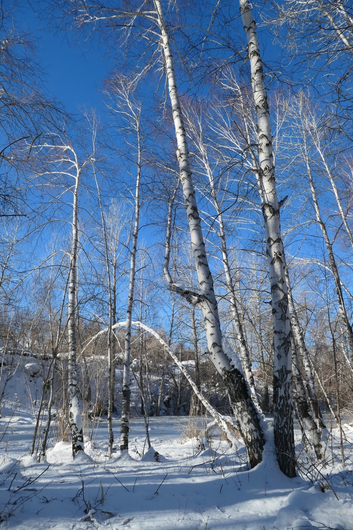 我只是把出去看到的随手记录下来（217）