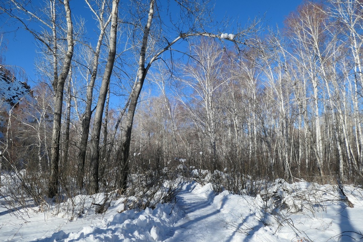 我只是把出去看到的随手记录下来（217）