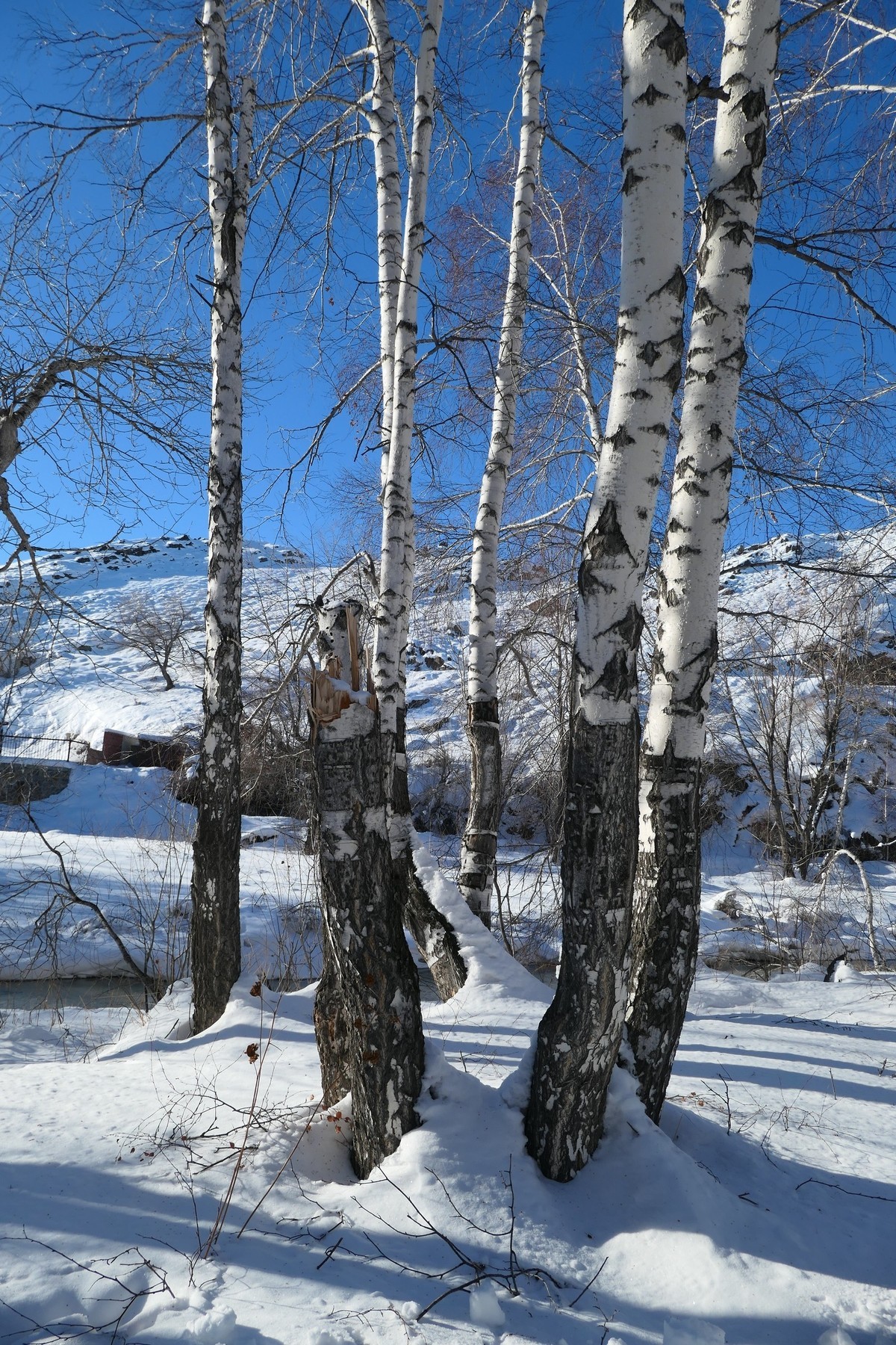 我只是把出去看到的随手记录下来（217）