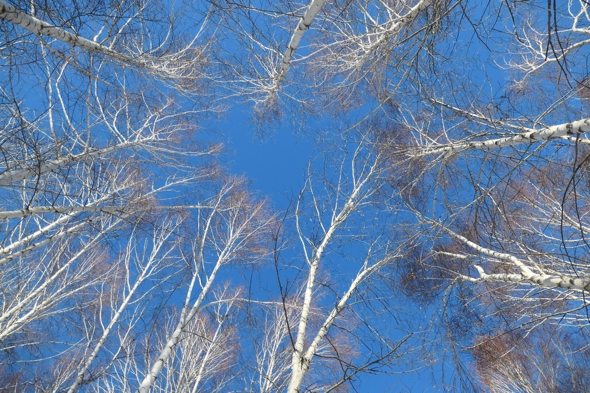 我只是把出去看到的随手记录下来（217）