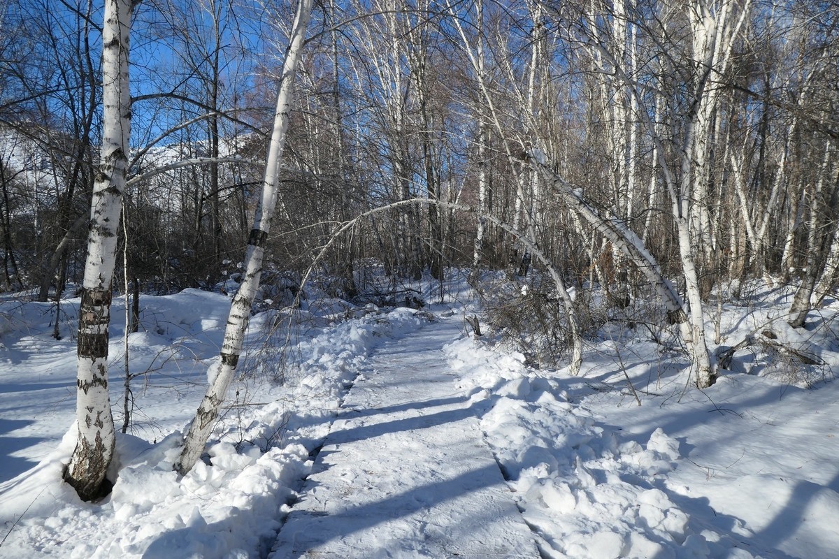 我只是把出去看到的随手记录下来（217）