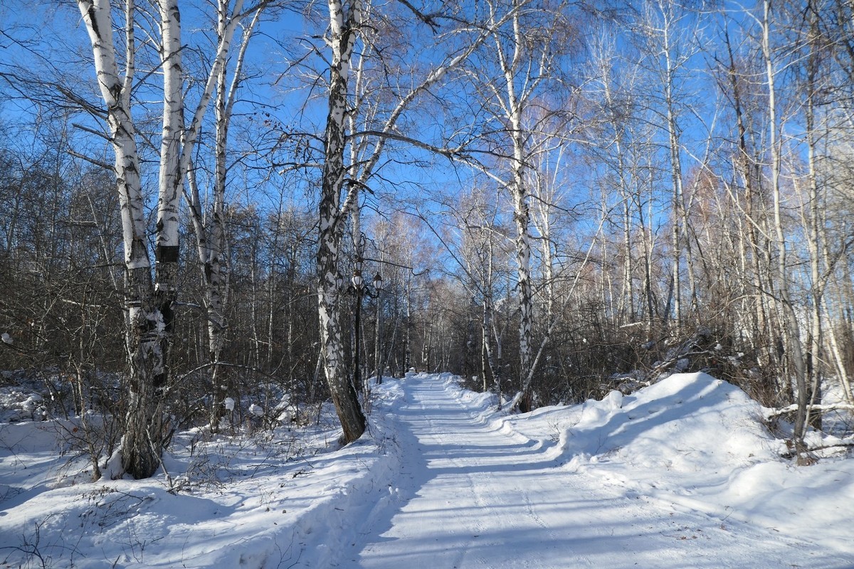 我只是把出去看到的随手记录下来（217）
