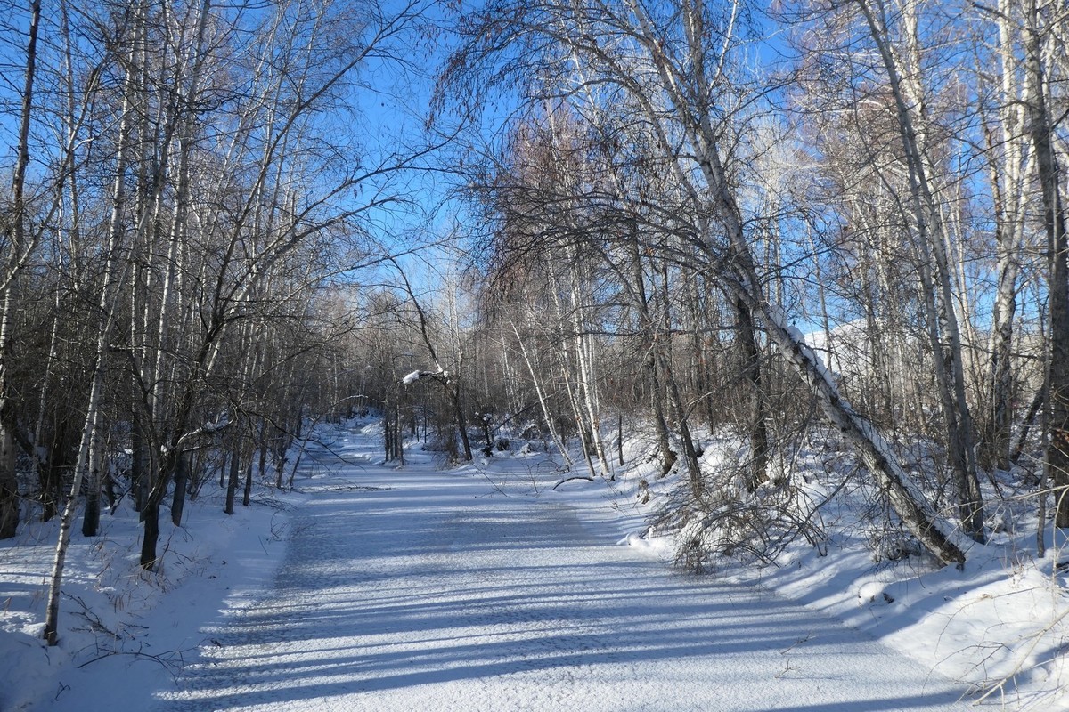 我只是把出去看到的随手记录下来（217）