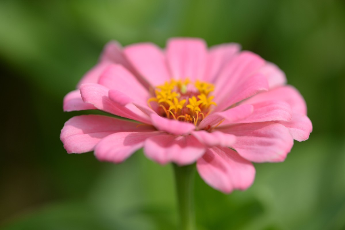 新手一组微距（2）