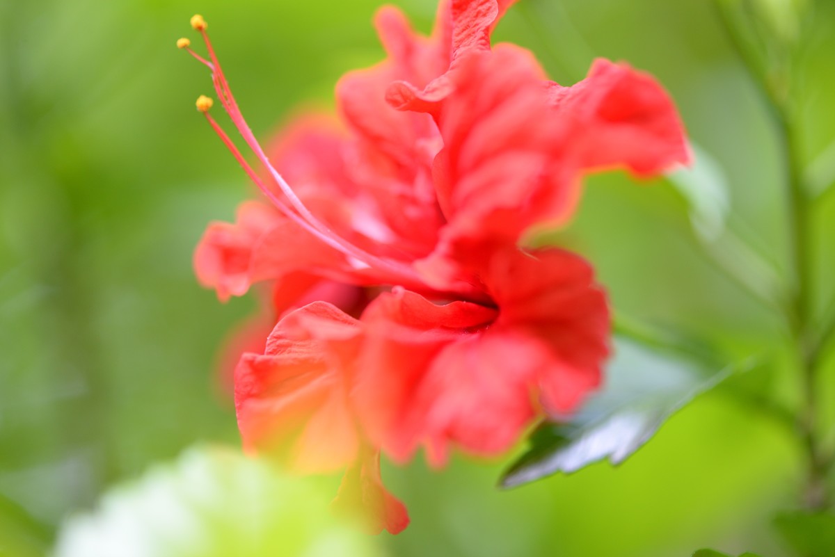 新手一组微距（2）