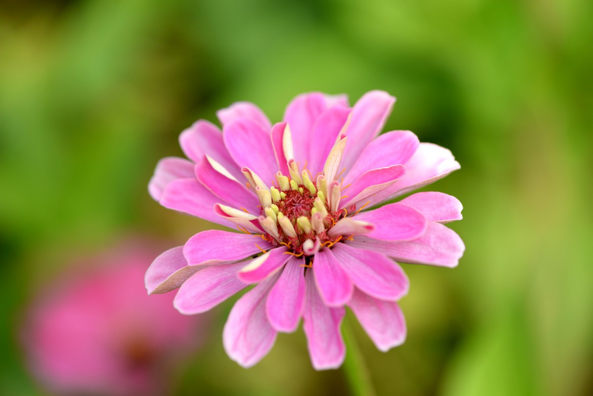 新手一组微距（2）