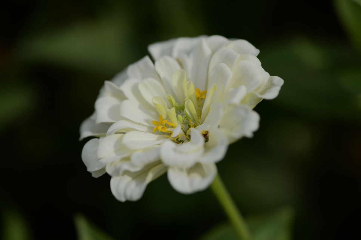 新手一组微距（2）