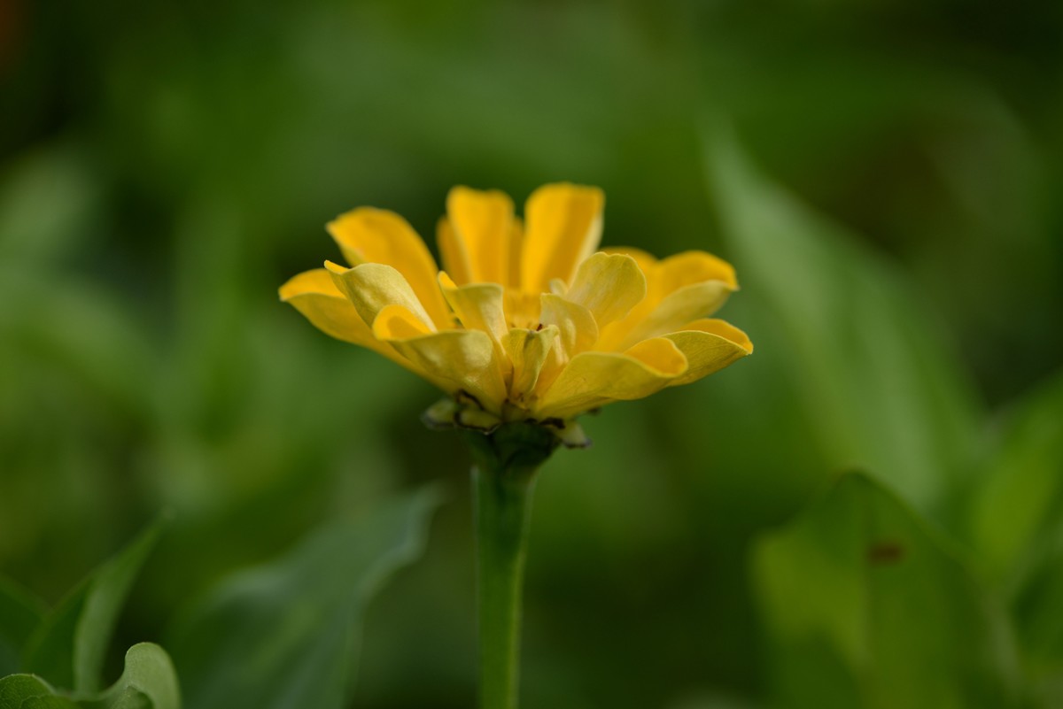 新手一组微距（2）