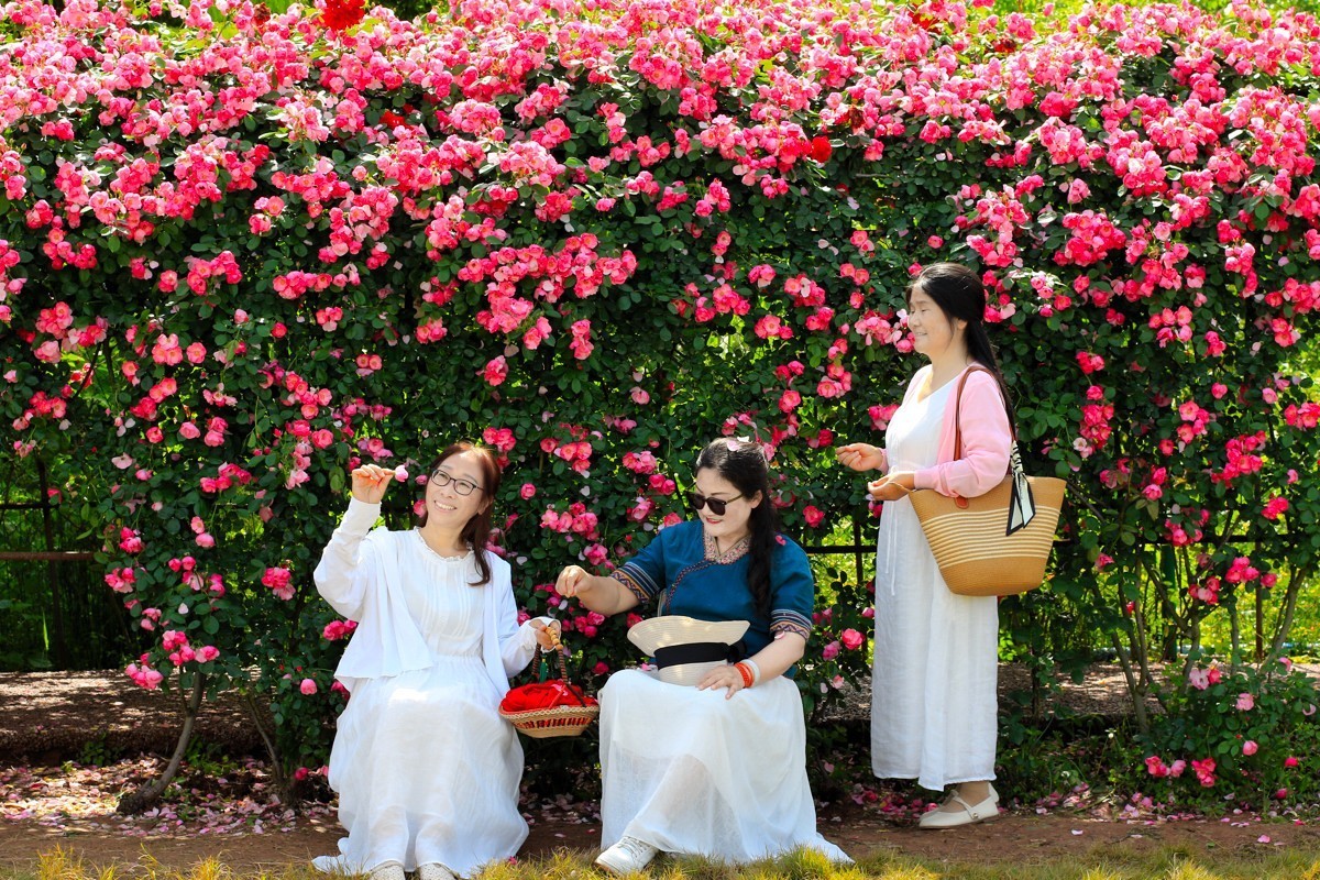 人间最美四月天